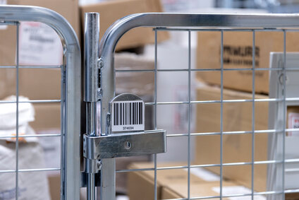 Pioneering work as a team